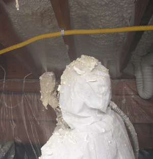  KS crawl space insulation